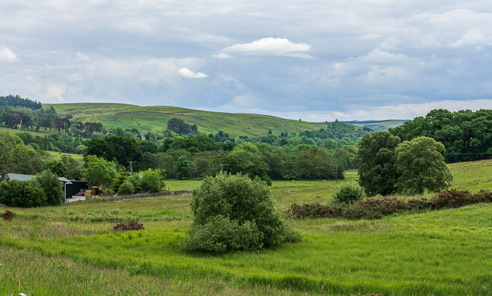 Kingsley Crag Kingsley Crag